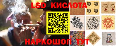 ПСИЛОЦИБИНОВЫЕ ГРИБЫ Гатчина