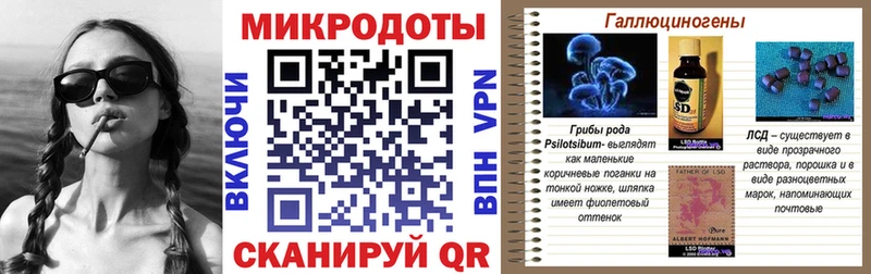 Галлюциногенные грибы Cubensis  площадка клад  Иваново  купить закладку 