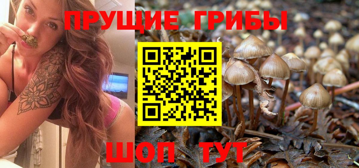 Галлюциногенные грибы GOLDEN TEACHER Иваново