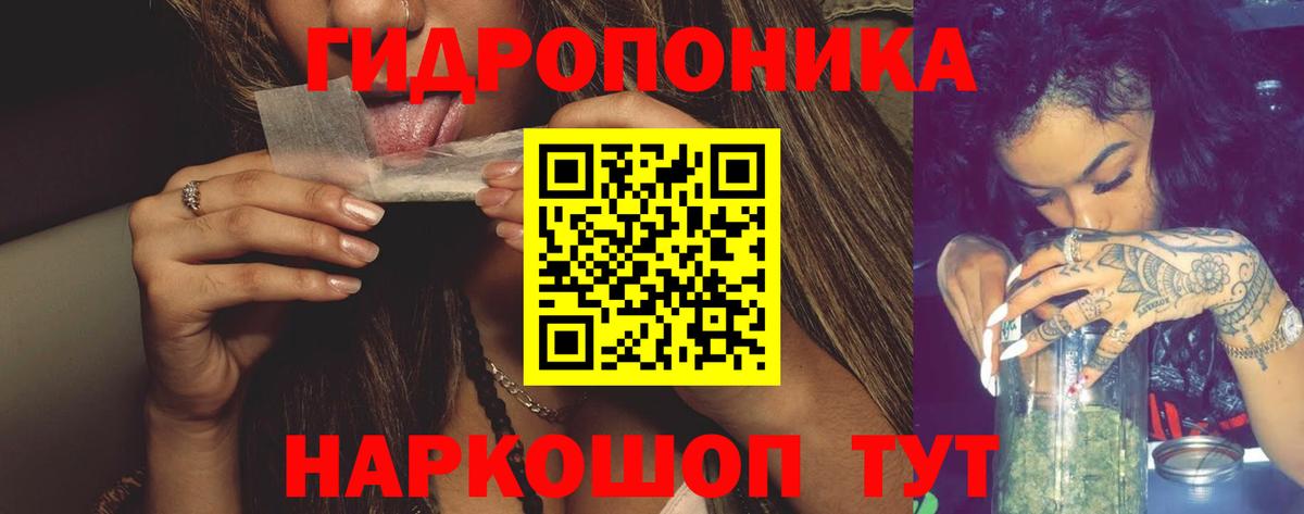 Конопля Ganja Иваново